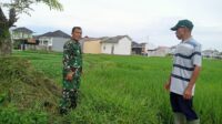 IMG-20251029-WA0033