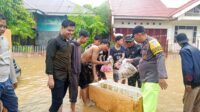 IMG-20251202-WA0017
