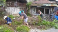 IMG-20251206-WA0014-768x354