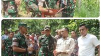 Screenshot_20260402_213208~2